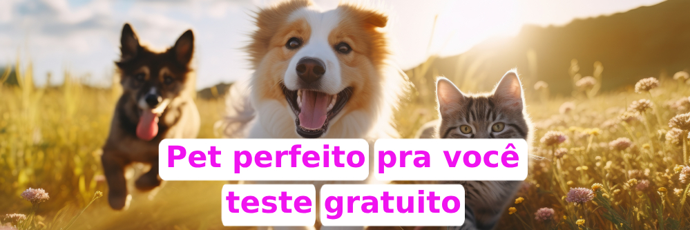 pet-ideal-pra-mim-adocao